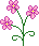 flowers1